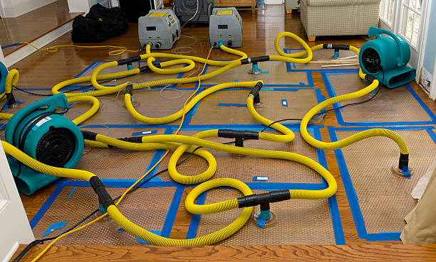 Professional Storm Water Damage Restoration technician working in Roseland, FL